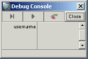 debug console